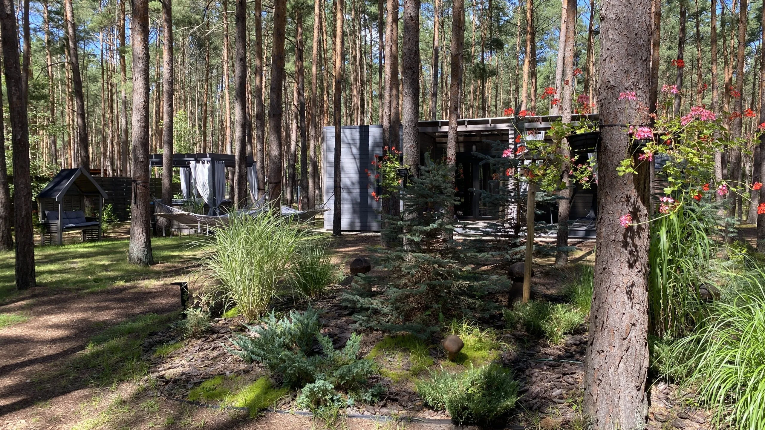 Domki Las Biala's w Puszczy Noteckiej